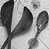 Hand carved wooden spoons by Loretta Joseph