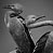 Artist: David Jackson, SaltSpring Island|Title: European Shags, Soapstone